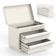 thumbnail image 1 of WORKPRO Mini Metal Tool Box with 2 Drawers and Top Storage, Small Tool Chest with PVC Liners and PP Feet Pads, Cold Rolled Steel Toolbox with Magnetic Tab,White, 1 of 8