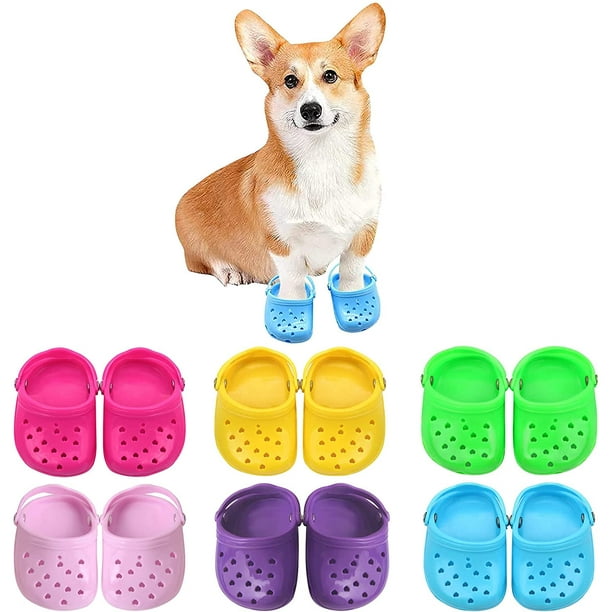Puppy slippers for dogs 2025