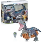 WOW! STUFF Jurassic World Blue Training Edition Puppetronic by RealFX - Interactive Baby Raptor, 60+ Actions & Sounds, 22 Dinosaur Toy, Ages 8+