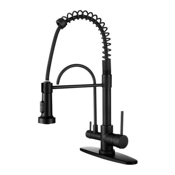 WOWOW Pull Down Sprayer Kitchen Faucet with Drinking Water Filter