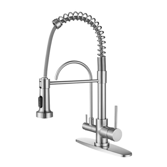 WOWOW Pull Down Sprayer Kitchen Faucet with Drinking Water Filter