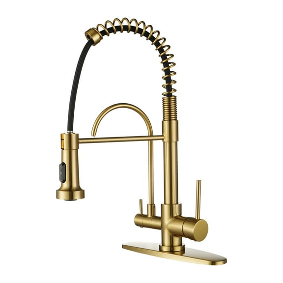 WOWOW Pull Down Sprayer Kitchen Faucet with Drinking Water Filter