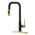 thumbnail image 1 of WOWOW Single Handle Pull Down Sprayer Kitchen Faucet in Black and Gold with Deck Plate, 1 of 1