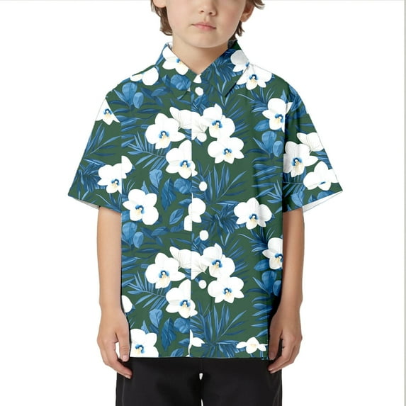 WOYY Big Boys Hawaii Beach Shirt Leisure Short Sleeve Button Down Shirt, Sizes 3-13