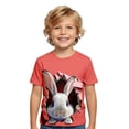 thumbnail image 1 of WOYY Boys Easter Rabbit T Shirt Cute Short Sleeve Graphic Tee Kids Soft T-Shirt, Sizes 1-13, 1 of 3
