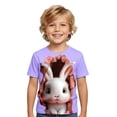 thumbnail image 1 of WOYY Boys Easter Short Sleeve T-Shirt Bunny Print Crew Neck T Shirt Cute Tee, Sizes 1-13, 1 of 3