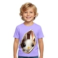 thumbnail image 1 of WOYY Boys Easter Short Sleeve T Shirt Cute Rabbit Print Graphic Tee Casual Kids Top, Sizes 1-13, 1 of 3