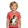 thumbnail image 1 of WOYY Boys Easter Short Sleeve T Shirt Cute Rabbit Print Graphic Tee Casual Kids Top, Sizes 1-13, 1 of 3