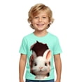 thumbnail image 1 of WOYY Boys Easter Short Sleeve T-Shirt Kids Cute Rabbit Print Graphic Tee, Sizes 1-13, 1 of 3