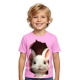 thumbnail image 1 of WOYY Boys Easter Short Sleeve T-Shirt Kids Cute Rabbit Print Graphic Tee, Sizes 1-13, 1 of 3