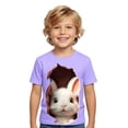 thumbnail image 1 of WOYY Boys Easter Short Sleeve T-Shirt Kids Cute Rabbit Print Graphic Tee, Sizes 1-13, 1 of 3