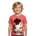 thumbnail image 1 of WOYY Boys Easter Short Sleeve T-Shirt Kids Cute Rabbit Print Graphic Tee, Sizes 1-13, 1 of 3