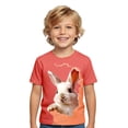 thumbnail image 1 of WOYY Boys Easter T Shirt Cute Rabbit Print Short Sleeve Round Neck T-Shirt Top, Sizes 1-13, 1 of 3