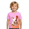 thumbnail image 1 of WOYY Boys Easter T Shirt Cute Rabbit Print Short Sleeve Round Neck T-Shirt Top, Sizes 1-13, 1 of 4