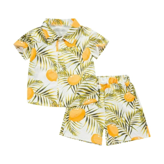 WOYY Boys Hawaii Tropical Print Button Down Shirt Shorts Set Summer Beach Outfits Baby 2Pcs Set, Sizes 12M-5T