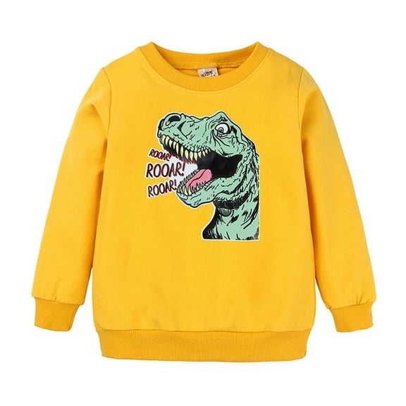 WOYY Dinosaur Sweatshirt for Boys Long Sleeve Round Neck Shirt Casual Active Sweatshirts