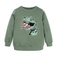thumbnail image 1 of WOYY Dinosaur Sweatshirt for Boys Long Sleeve Round Neck Shirt Casual Active Sweatshirts, 1 of 8