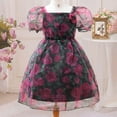thumbnail image 1 of WOYY Girls Mesh Short Puff Sleeve Floral Mesh Dress Party Princess Dress, Sizes 7-12, 1 of 7