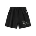 thumbnail image 1 of WOYY Little Boys Dinosaur Print Cotton French Terry Shorts Pull-On Play Shorts, Sizes 1-7, 1 of 2