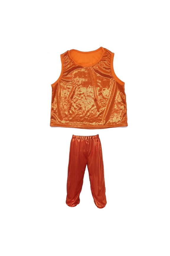 Little Girls Shiny Sleeveless Tank Top Harem Pants Set Party Outfits, Sizes 5-6