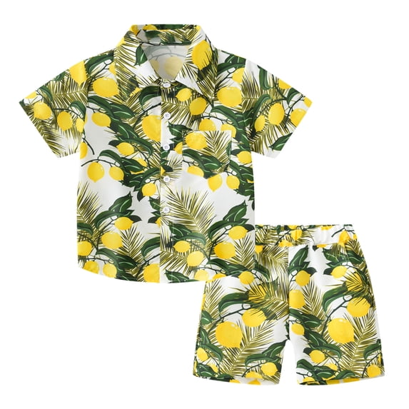WOYY Summer Boys Hawaii Beach Outfits Tropical Print Short Sleeve Button Down Shirt Shorts Set Kids 2Pcs Set, Sizes 1-8