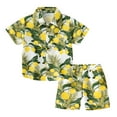 thumbnail image 1 of WOYY Summer Boys Hawaii Beach Outfits Tropical Print Short Sleeve Button Down Shirt Shorts Set for Kids, Sizes 1-8, 1 of 4