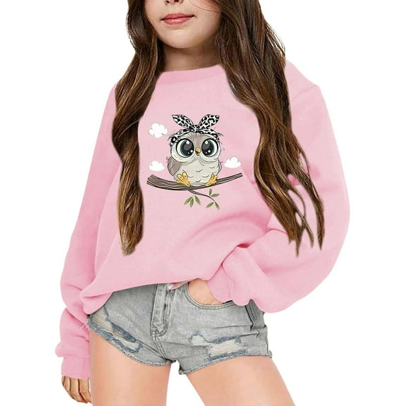 WOYY Sweatshirt for Girls Cartoon Owl Print Crewneck Loose Pullover Long Sleeves Tops