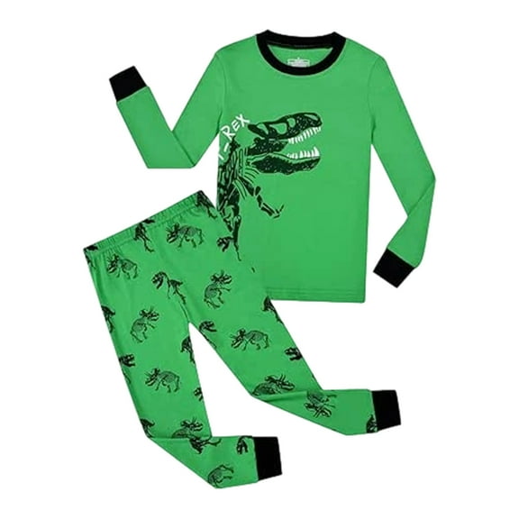 WOYY Toddler Boys Dinosaur Pajamas Cotton Long Sleeve Top Pants Sleepwear Set, Sizes 3-4T
