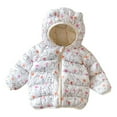 thumbnail image 1 of WOYY Toddler Boys Down Padded Coat Children's Cute Cartoon Hooded Jacket, Sizes 2-3T, 1 of 3