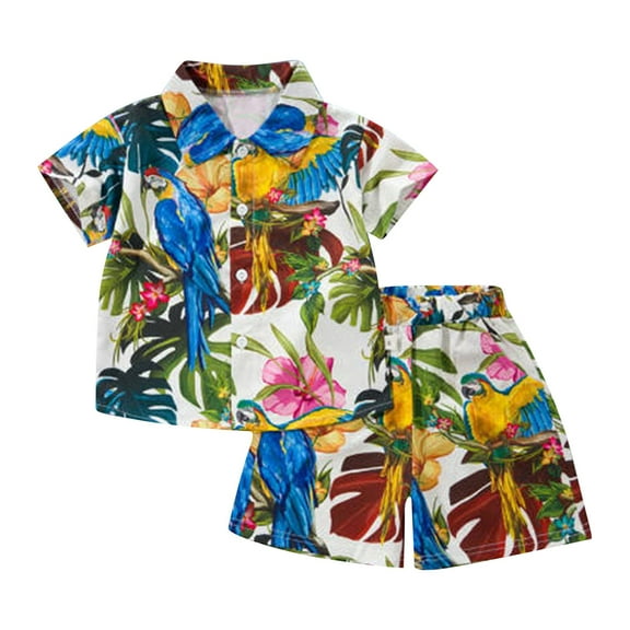 WOYY Toddler Boys Hawaii Outfits Summer Beach Button Down Shirt Shorts Set, Sizes 2-3T