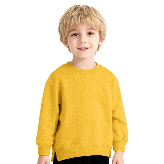 WOYY Toddler Boys Sweatshirt Casual Solid Basic Crewneck Pullover Versatile Sweatshirt