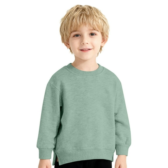 WOYY Toddler Boys Sweatshirt Casual Solid Basic Crewneck Pullover Versatile Sweatshirt