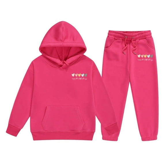 WOYY Toddler Girls 2 Piece Hoodie Joggers Outfits Casual Clothes Set, Sizes 2-3T