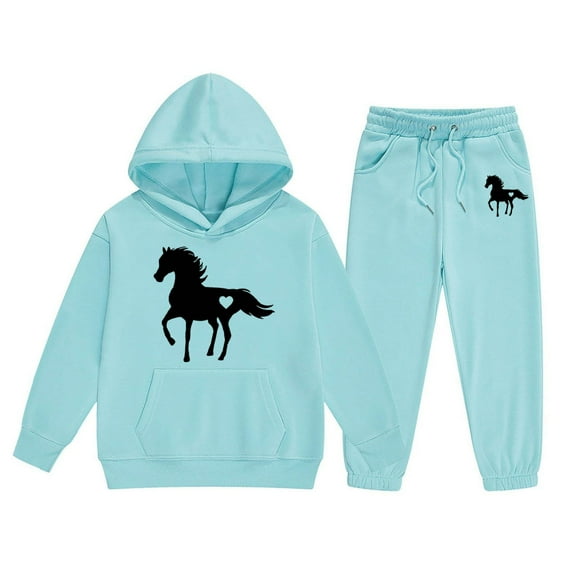 WOYY Toddler Girls 2 Piece Horse Print Hoodie Sweatpants Outfits Tracksuits, Sizes 2-3T