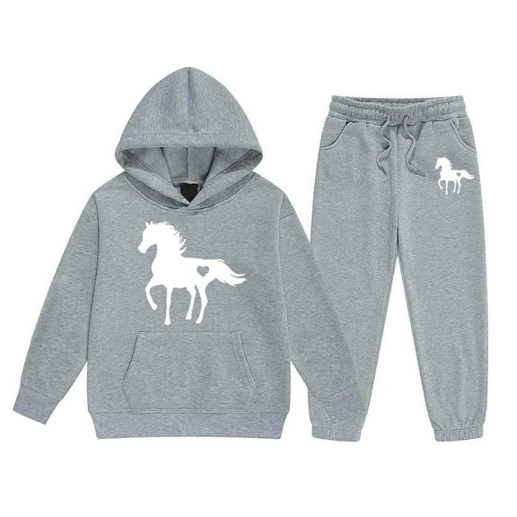 WOYY Toddler Girls 2 Piece Horse Print Hoodie Sweatpants Outfits Tracksuits, Sizes 3-4T
