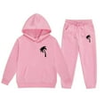 thumbnail image 1 of WOYY Toddler Girls Casual Sweatsuit Palm Print Long Sleeve Hoodie Pants Set, Sizes 2-3T, 1 of 3