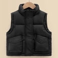thumbnail image 1 of WOYY Toddler Girls Padded Vest Solid Color Sleeveless Puffer Coat Kids Casual Outerwear, 1 of 9