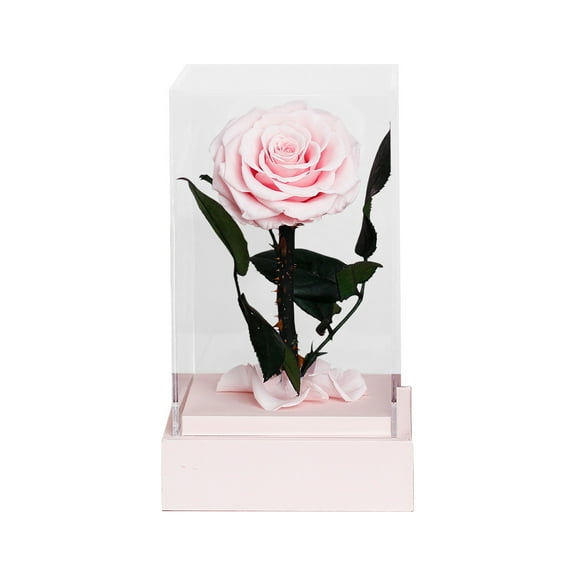WQJNWEQ Real Rose Acrylic Eternal Flower Forever Beautiful Love Handmade Gift for Mother Woman Girlfriend Valentine's Day