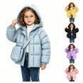 thumbnail image 1 of WQNVRNR Toddler Girls Puffer Jacket- Pink Size 6 Years, 1 of 2