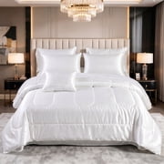 WQSPRING Reversible Satin Comforter Set 3-Piece, White Queen, Lightweight All-Season Bedding