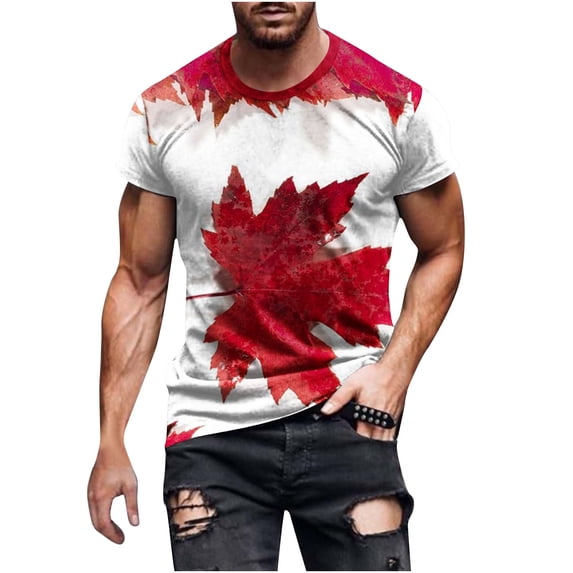 WREESH Men's 4Th of July Commemorative Tee: Star-Spangled Short Sleeve T-Shirt American Flag Crewneck Top Wine