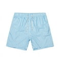 thumbnail image 1 of WREESH Men's Beach Shorts Swim Trunks Casual Fashion Stripe Printing Short Drawstring Elastic Waist Short Pants Light Blue, 1 of 4