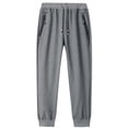 thumbnail image 1 of WREESH Men's Jogger Sweatpants Cotton Pants Outdoor Winter Fleece Thickened Casual Lamb Velvet Pants Full Length Pants Dark Gray, 1 of 5