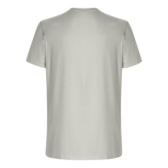 WREESH Men's Round Neck Graphic Tee Short Sleeve Crew Neck Independence Day Print Summer Casual Gray