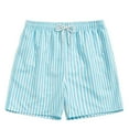 thumbnail image 1 of WREESH Men's Summer Striped Beach Shorts Swim Trunks Quick Dry Surf Board Shorts Bathing Suit with Mesh Lining Light Blue, 1 of 4