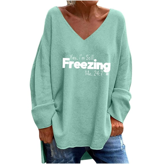 WREESH Womens Fashion T-Shirts Casual V Neck Print Pullover Loose Fit Long Sleeve Tops Casual Tops Blouse T-Shirt Light Blue