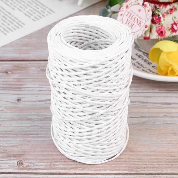 WRISTBIQUE 1 Roll White Iron Wire Flower Stem Wire for Floristry Wire Roll Store Use for Crafts