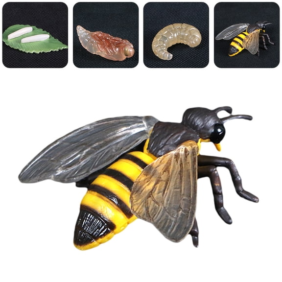 WRISTBIQUE Multi-colored Insect Life Cycle Figurines Set, Simulation Animal Models for Kids Learning and Play