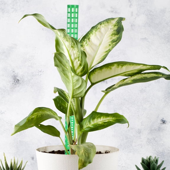 WRISTBIQUE 1Set Moss Pole for Plants Monstera Climbing Vine Plant Support Green Plastic