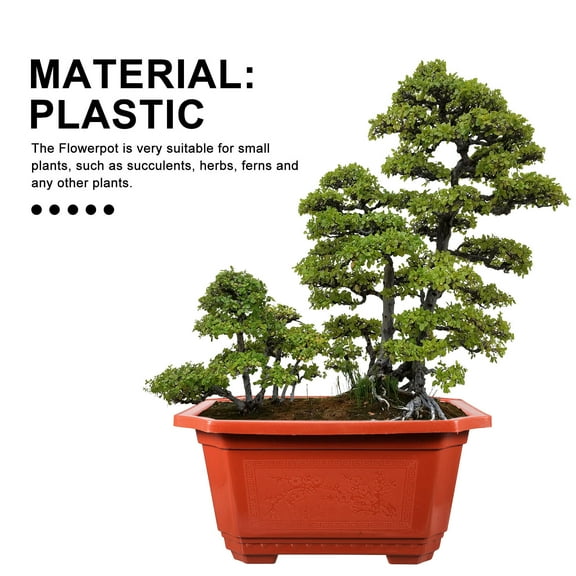 WRISTBIQUE Plastic Rectangular Bonsai Container Dark Red for Indoor Outdoor Plant Storage